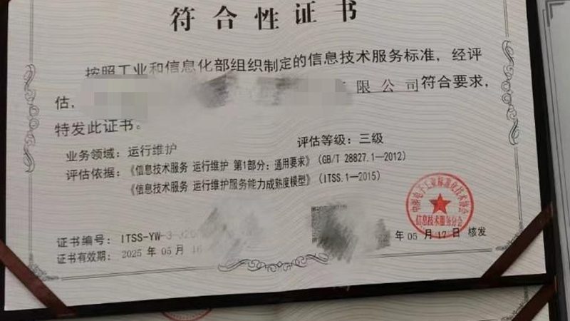 2025年，上海IT咨询公司排名背后的考量因素